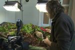 Umělý biotop využívají dokumentaristé pro natočení…